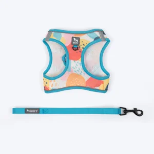 Easy Breezy Step-In Harness Set For Cats - Abstract